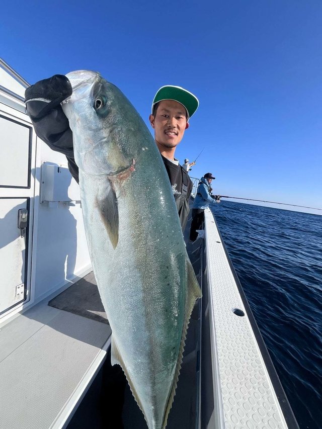 サンパク(ブリ)