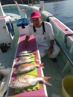 マダイ・アジ(マアジ)・ヒラソーダ(ヒラソウダ)