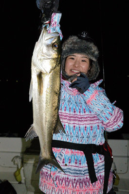 シーバス(スズキ)