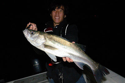 シーバス(スズキ)