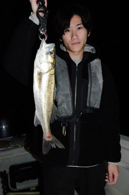 シーバス(スズキ)