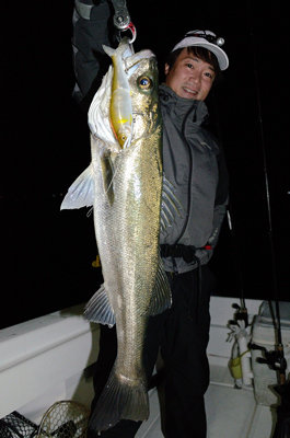 シーバス(スズキ)