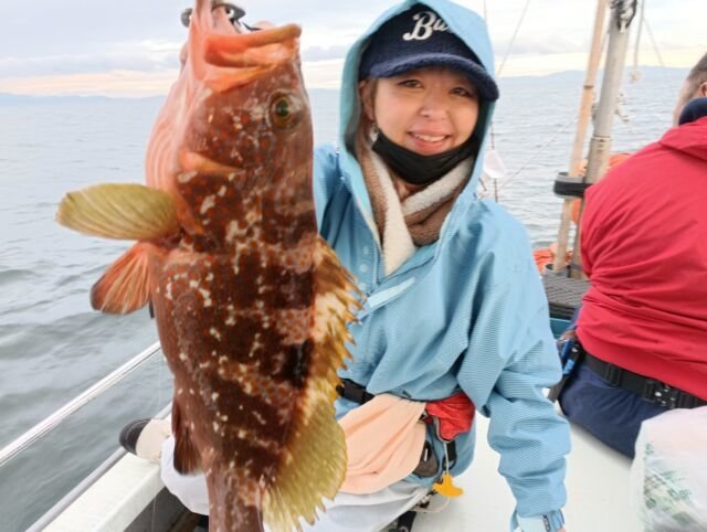 アコウ(キジハタ)