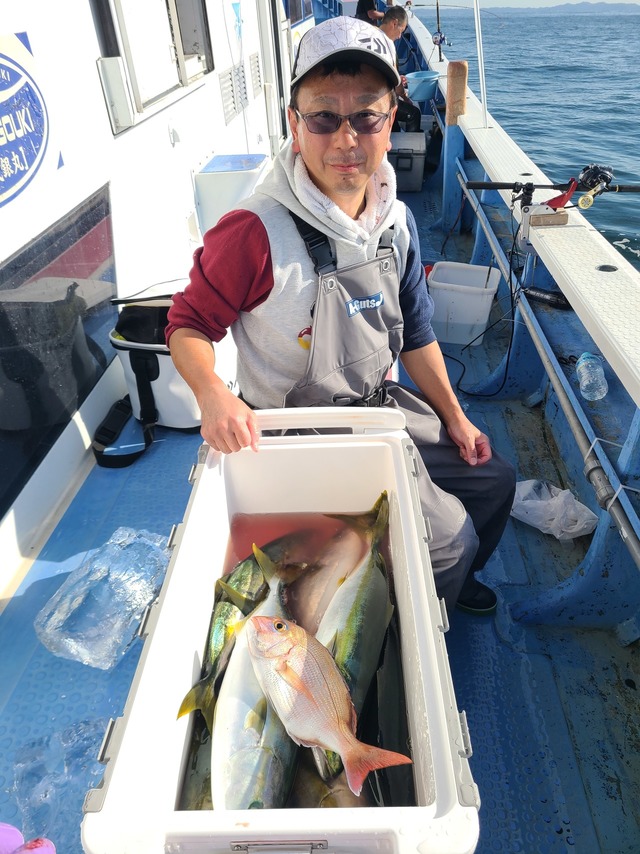 マダイ・イナダ(ブリ)