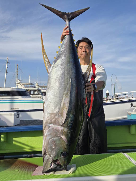 マグロ(キハダ)