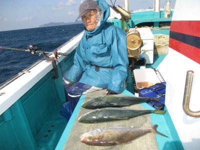 メジロ(ブリ)・カンパチ