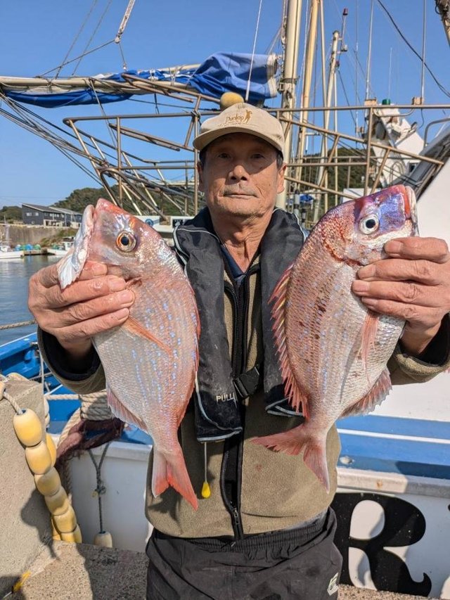 ハナダイ(チダイ)