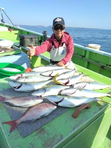 マダイ・イナダ(ブリ)・ワラサ(ブリ)