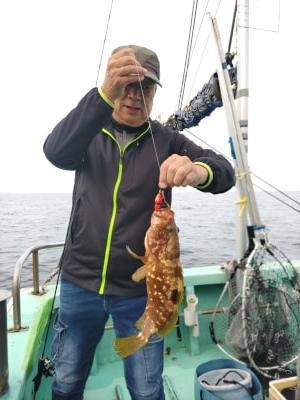 アコウ(キジハタ)