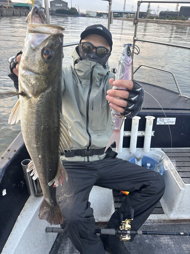 シーバス(スズキ)