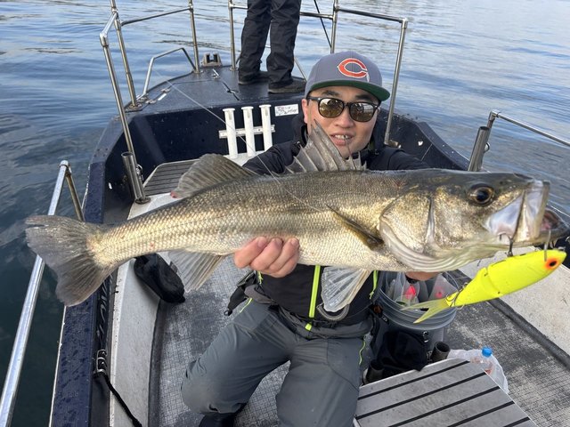 シーバス(スズキ)