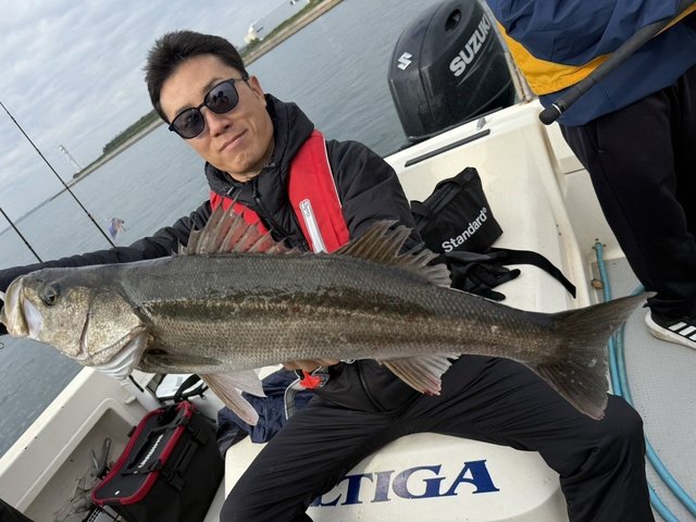 シーバス(スズキ)