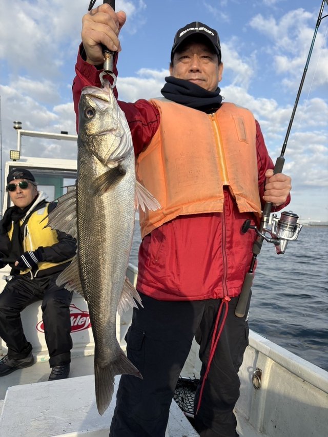 シーバス(スズキ)