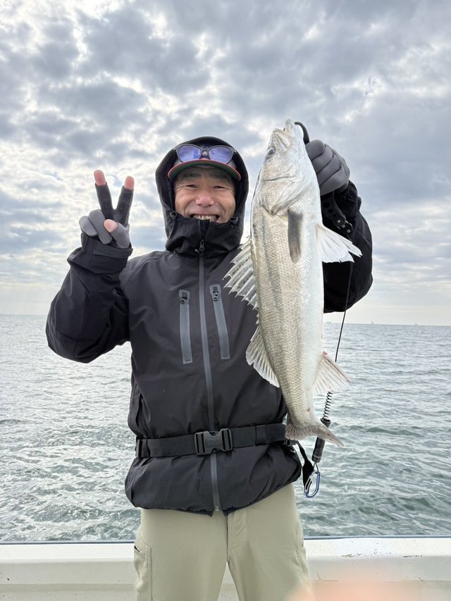 シーバス(スズキ)