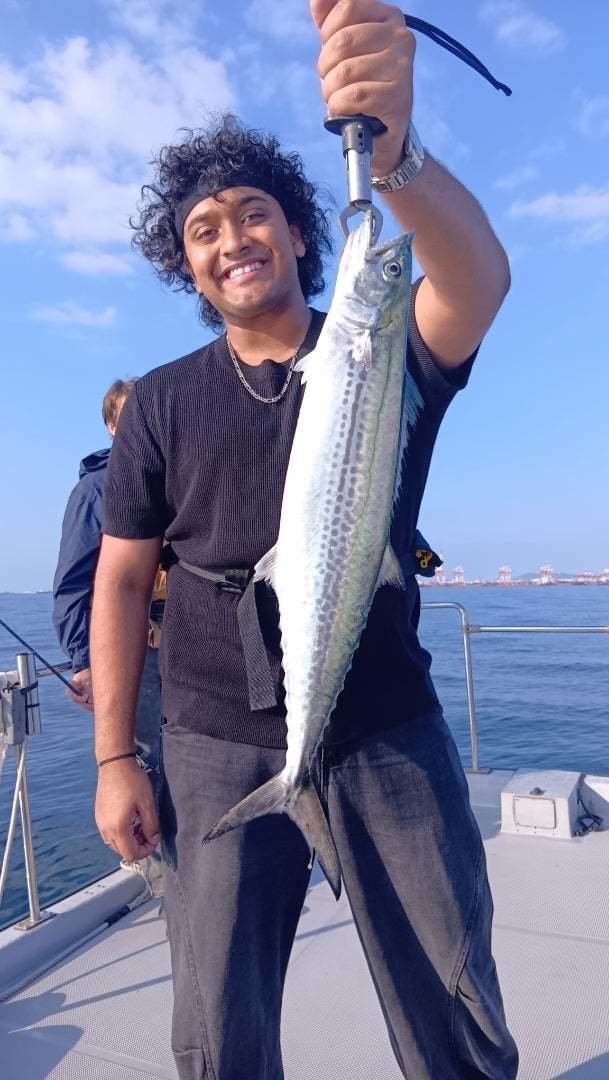 サゴシ(サワラ)