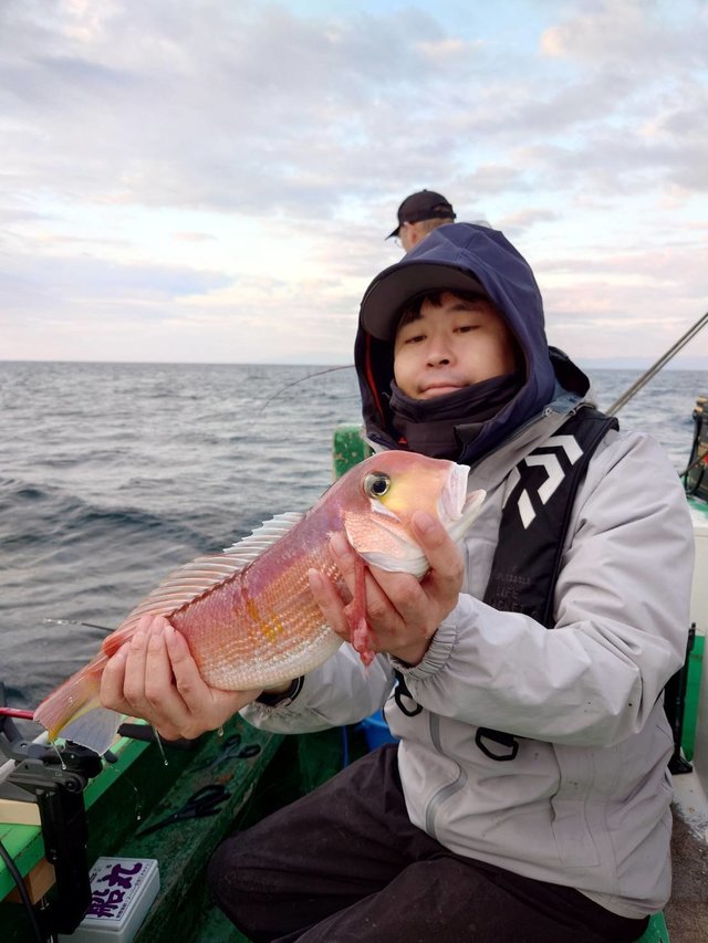 アマダイ(アカアマダイ)