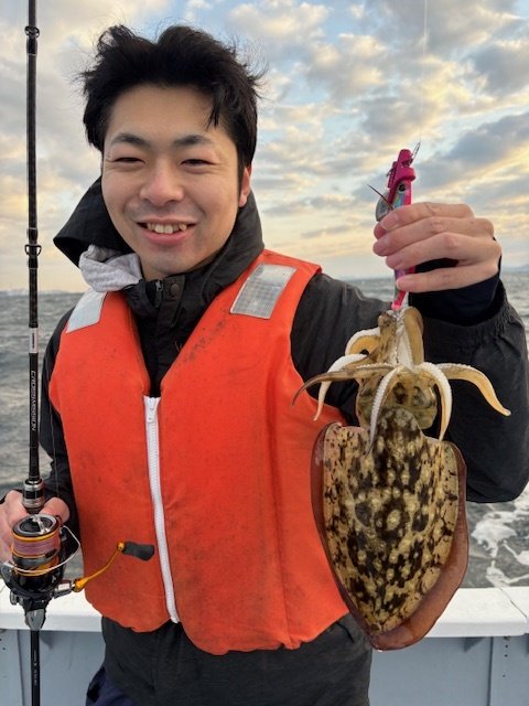 モンゴウイカ(カミナリイカ)