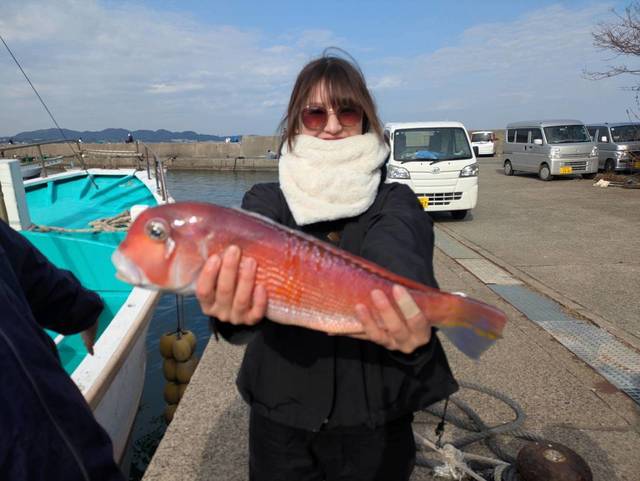 アマダイ(アカアマダイ)