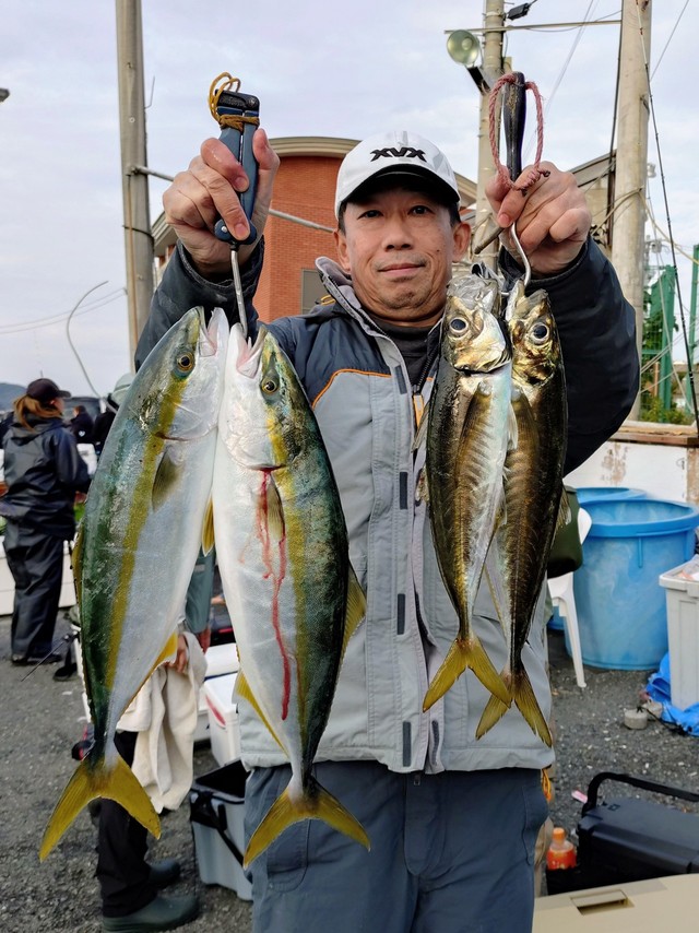 アジ(マアジ)・イナダ(ブリ)