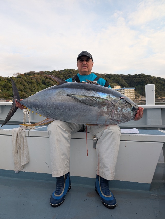 キハダマグロ(キハダ)