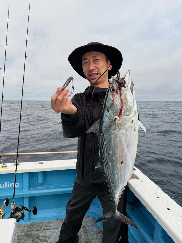 スマガツオ(スマ)