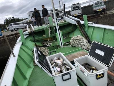 チダイ・メジロ(ブリ)・イサギ(イサキ)・スマガツオ(スマ)