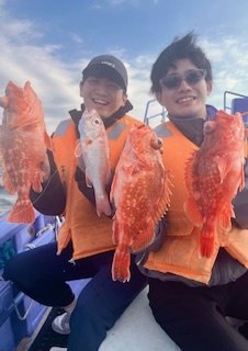 ガシラ(カサゴ)