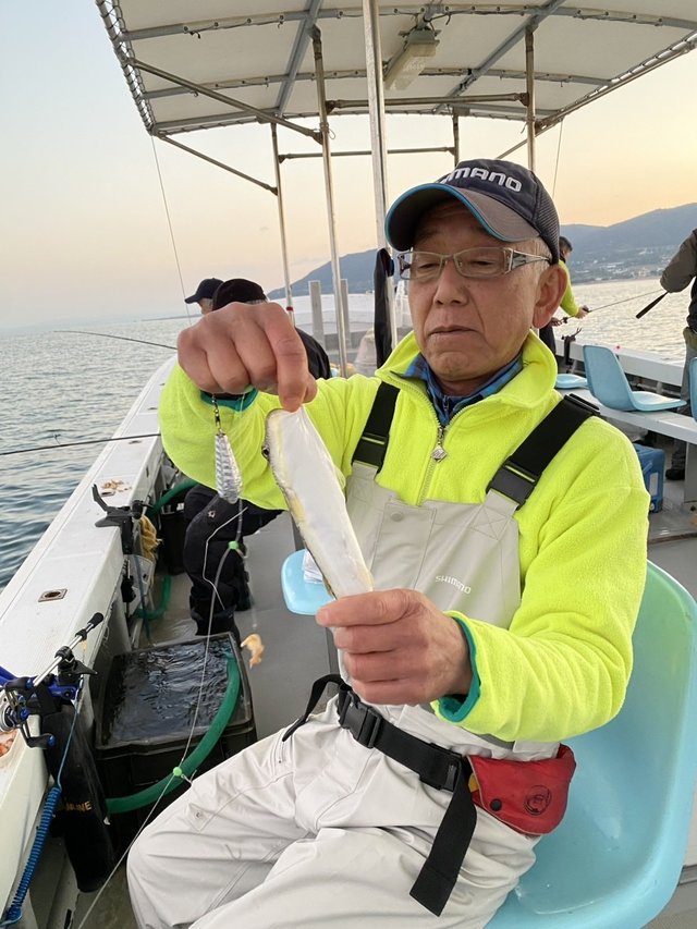 ショウサイフグ