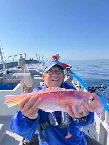 アマダイ(アカアマダイ)