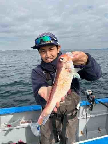 アマダイ(アカアマダイ)