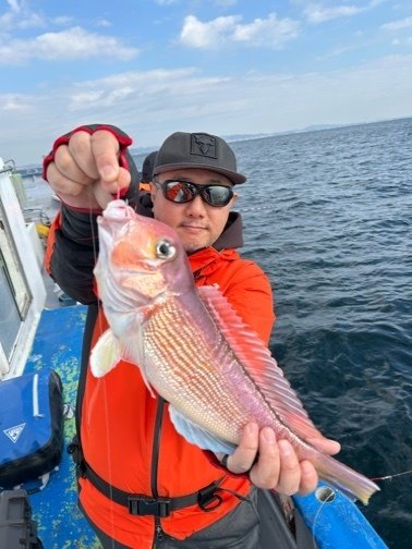 アマダイ(アカアマダイ)