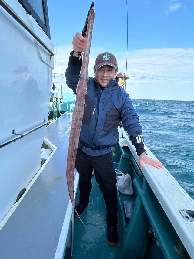 ヤガラ(アカヤガラ)