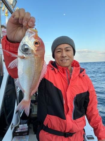 レンコダイ(キダイ)