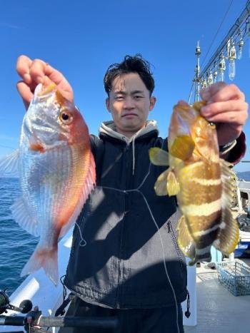 レンコダイ(キダイ)・アオハタ