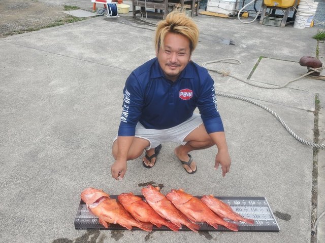 カンコ(ウッカリカサゴ)