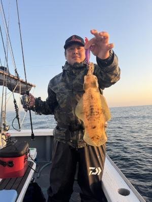 アオリイカ