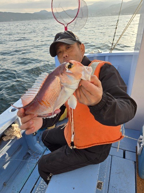 アマダイ(アカアマダイ)