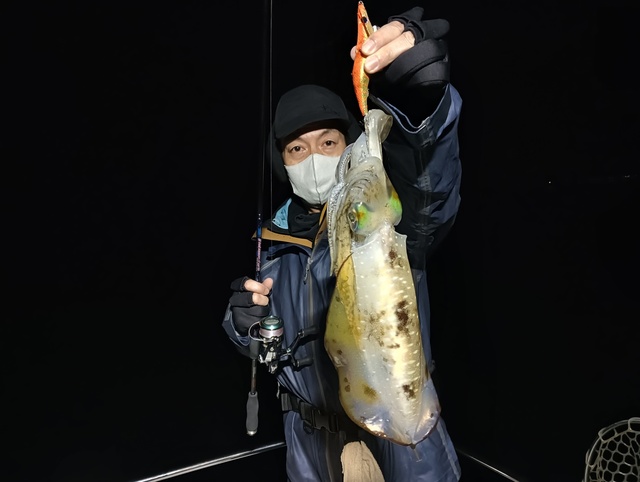 アオリイカ