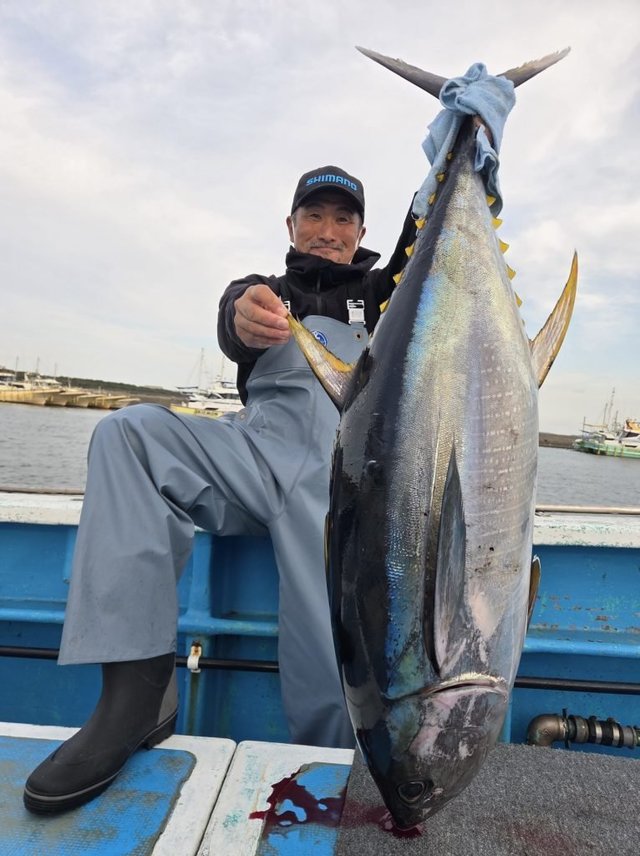 キハダマグロ(キハダ)