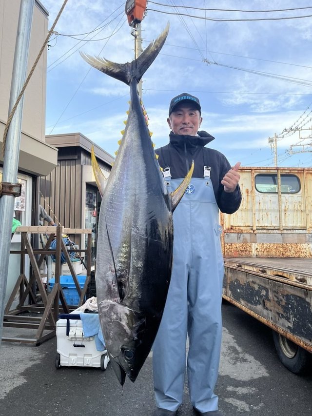 キハダマグロ(キハダ)