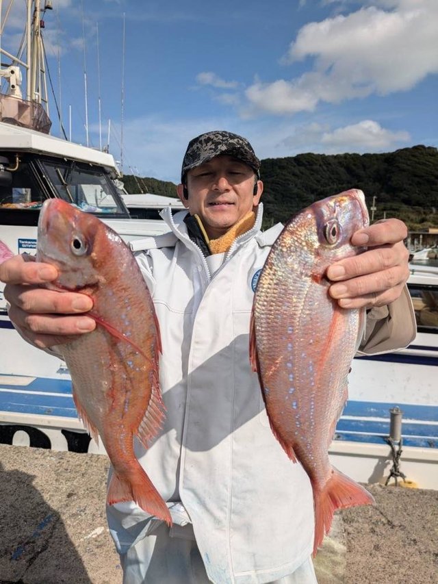 ハナダイ(チダイ)