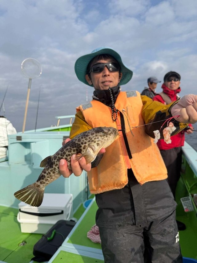 フグ(ショウサイフグ)・フグ(アカメフグ)