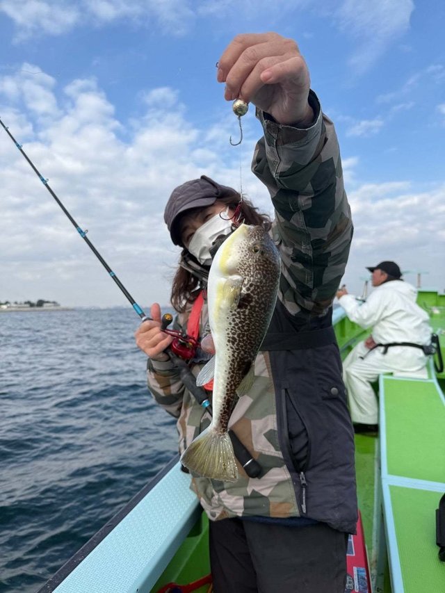 フグ(ショウサイフグ)