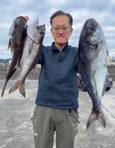 クロムツ・メダイ