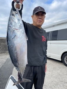 ヒラソーダ(ヒラソウダ)