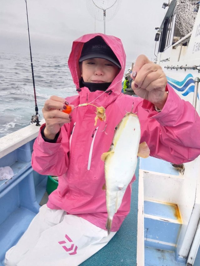 ショウサイフグ