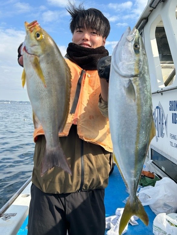 イナダ(ブリ)・カンパチ