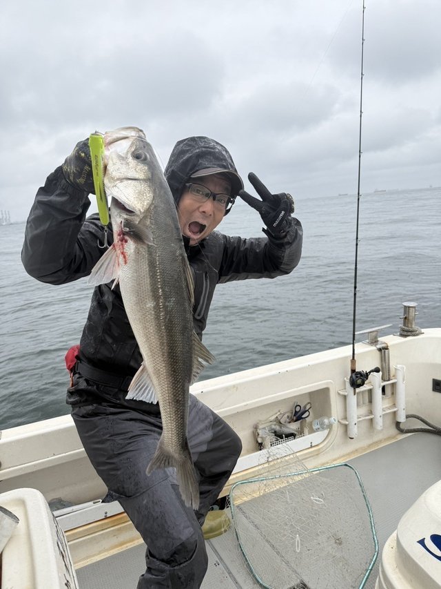 シーバス(スズキ)