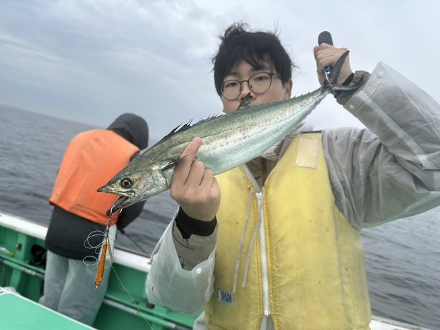 サゴシ(サワラ)