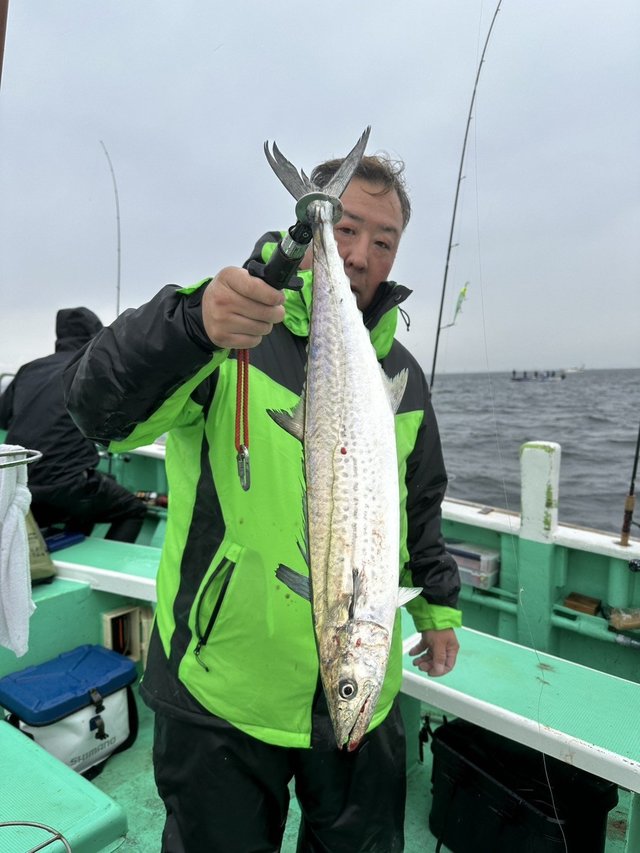 サゴシ(サワラ)